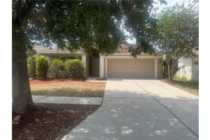 8105 Water Tower Dr, TAMPA