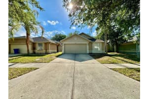 18112 Canal Pointe St, TAMPA