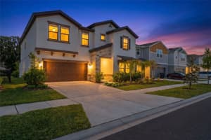 14868 Summer Branch Dr, LITHIA