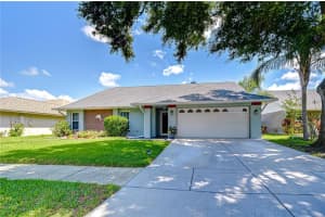 1428 Shell Flower Dr, BRANDON