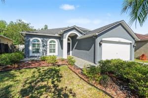 10212 Grant Creek Dr, TAMPA 10212 Grant Creek Dr, TAMPA