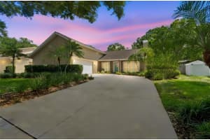 3104 Tarabrook Dr, TAMPA