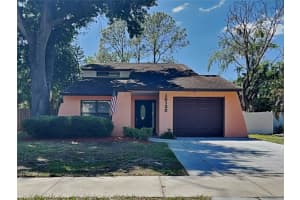 , TAMPA , TAMPA