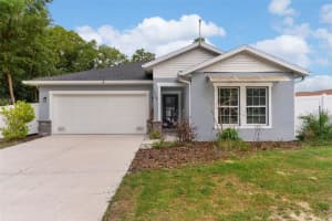 16264 Se 84th Ct, SUMMERFIELD