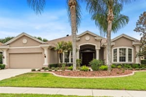 23316 Gracewood Cir, LAND O LAKES 23316 Gracewood Cir, LAND O LAKES