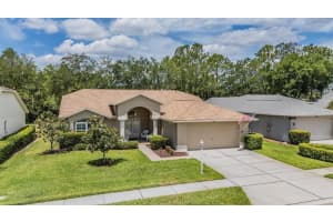 1237 Almondwood Dr, TRINITY 1237 Almondwood Dr, TRINITY