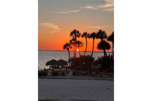 , TAMPA