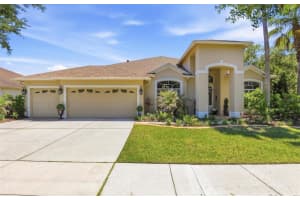8331 Golden Prairie Dr, TAMPA