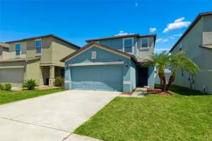 7422 French Marigold Ave, TAMPA