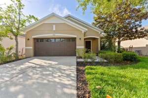 2916 Winglewood Cir, LUTZ