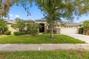 13655 Artesa Bell Dr, RIVERVIEW