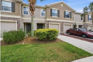 10425 Red Carpet Ct, RIVERVIEW 10425 Red Carpet Ct, RIVERVIEW