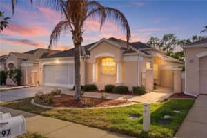 295 Royal Palm Way, SPRING HILL 295 Royal Palm Way, SPRING HILL