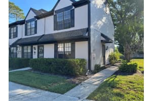 16573 Brigadoon Dr, TAMPA 16573 Brigadoon Dr, TAMPA