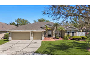 19328 Autumn Woods Ave, TAMPA