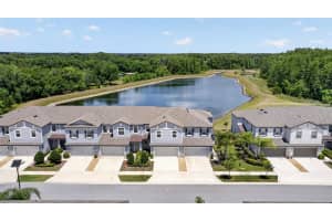 2213 Cerulean Sky Dr, LUTZ
