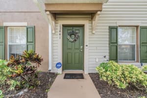 12441 Foxmoor Peak Dr, RIVERVIEW 12441 Foxmoor Peak Dr, RIVERVIEW