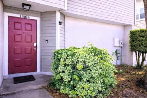 11808 N Armenia Ave, TAMPA 11808 N Armenia Ave, TAMPA