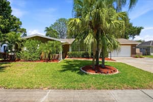1341 Ranchwood Dr, CLEARWATER