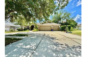 16934 Melissa Ann Dr, LUTZ