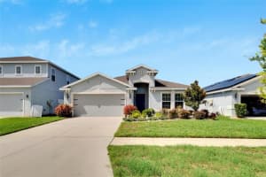 11355 Leland Groves Dr, RIVERVIEW