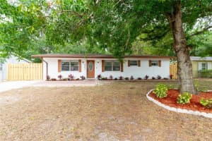 4203 Fawn Cir, TAMPA