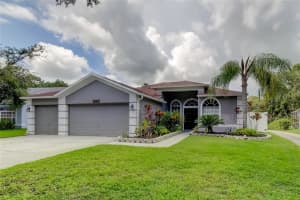 12943 Royal George Ave, ODESSA