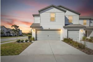 5335 New Friendship Pl, TAMPA