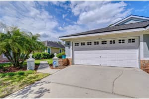9815 Gingerwood Dr, TAMPA 9815 Gingerwood Dr, TAMPA