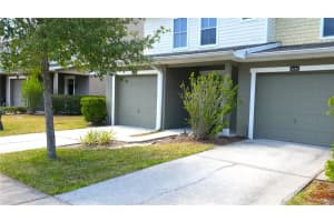 8216 Downpatrick Ct, TAMPA