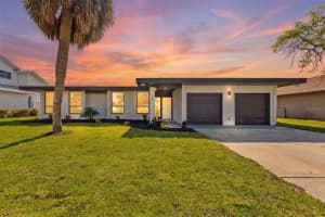 3917 E Eden Roc Cir, TAMPA