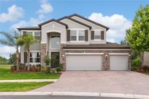 19361 Eagle Creek Ln, TAMPA