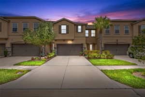 10230 Newel Valley Loop, RIVERVIEW