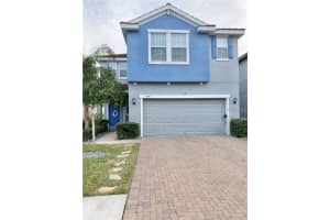 1041 Oliveto Verdi Ct, BRANDON