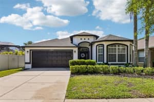 15914 Cedar Elm Ter, LAND O LAKES