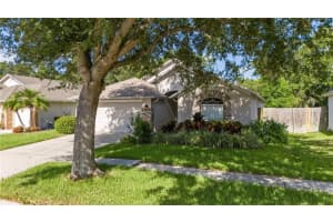 7105 Bucks Ford Dr, RIVERVIEW 7105 Bucks Ford Dr, RIVERVIEW