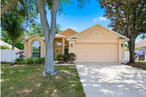 3228 Bentley Dr, PALM HARBOR 3228 Bentley Dr, PALM HARBOR