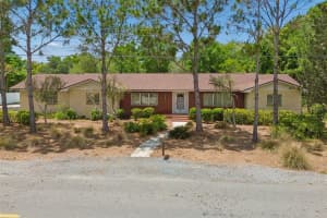 707 N Johnson St, PLANT CITY