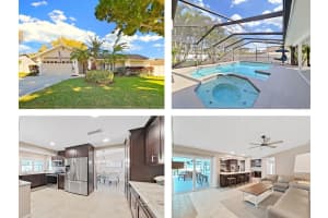 308 Hammock Dr, PALM HARBOR