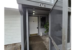 4710 Stonepointe Pl, TAMPA 4710 Stonepointe Pl, TAMPA