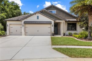 8538 May Port Ct, LAND O LAKES 8538 May Port Ct, LAND O LAKES
