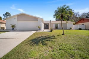 3708 Greenford St, VALRICO