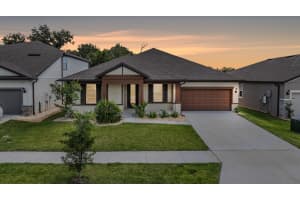 9405 Ibis Grove Blvd, WESLEY CHAPEL