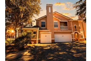 18105 Villa Creek Dr, TAMPA