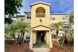 18111 Bridle Bit Ln, TAMPA
