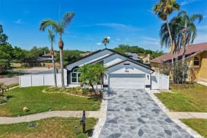 12002 W Pond Way, TAMPA