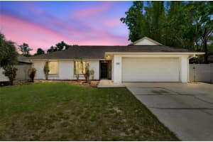 5127 Nashville Dr, TAMPA 5127 Nashville Dr, TAMPA