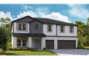 9886 Annunciation Dr, WESLEY CHAPEL