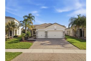 30423 Tristania Ct, WESLEY CHAPEL