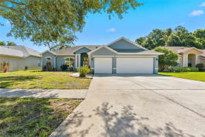 1115 Lumsden Trace Cir, VALRICO